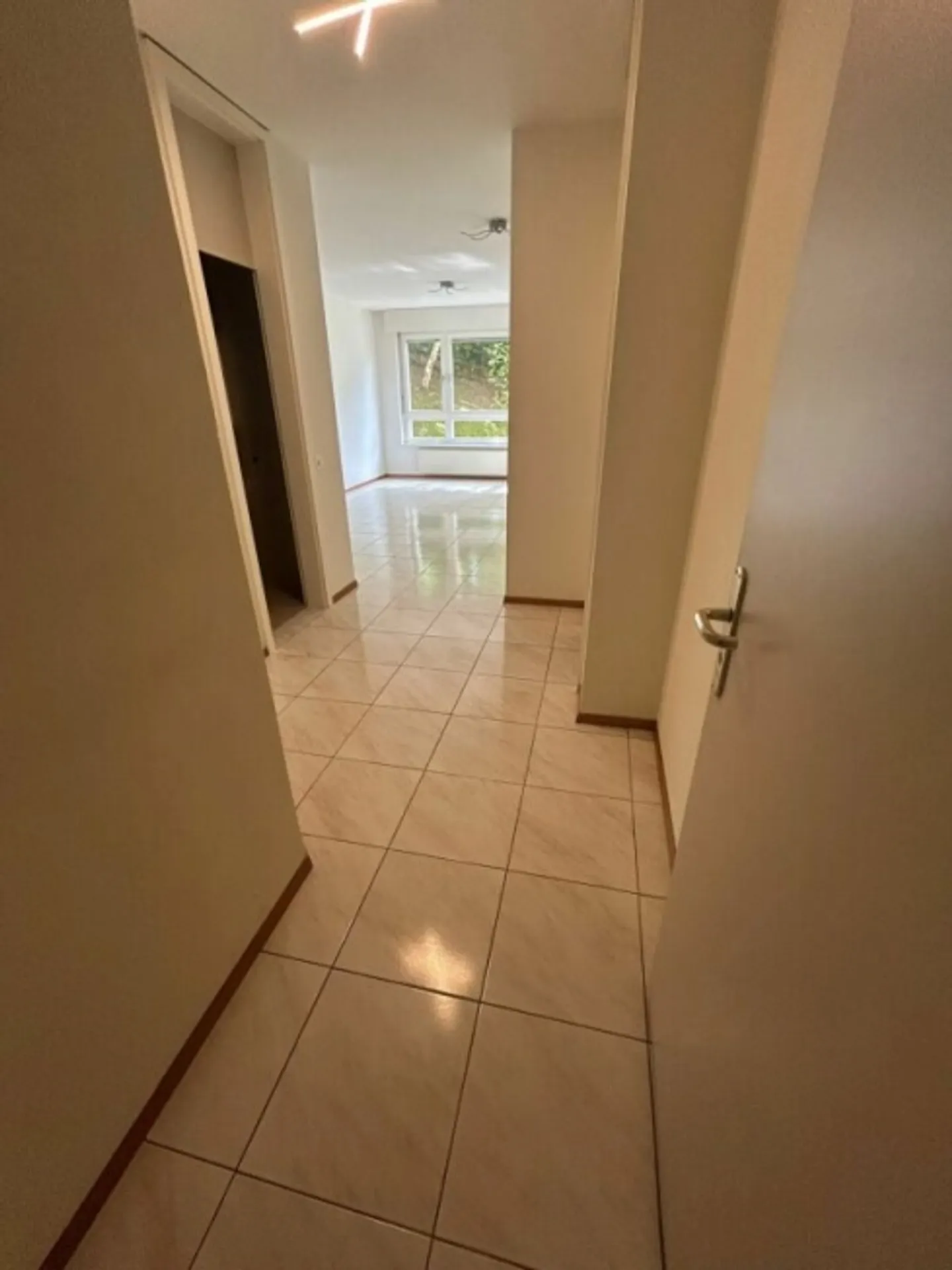 3.5 Room Apartment (App.7) 2nd floor-Pazzallo - Photo 2 of 9