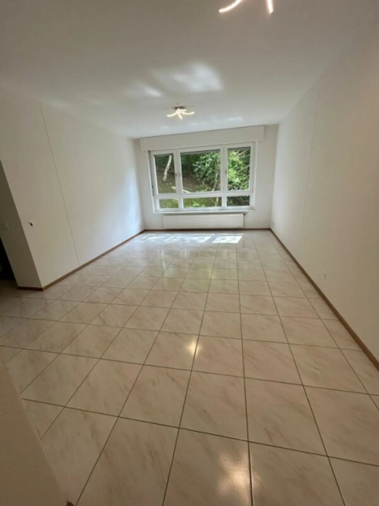 3.5 Room Apartment (App.7) 2nd floor-Pazzallo - Photo 3 of 9