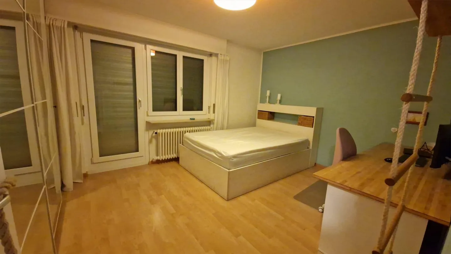 2.5 Room Apartment in Basel - Photo 5 of 8
