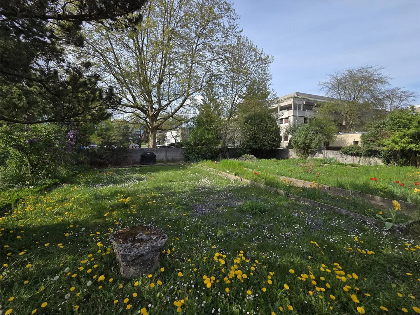 Lease takeover, 3.5 rooms 60 m2, CHF 1,790.00 on the ground floor - Photo 11 of 12