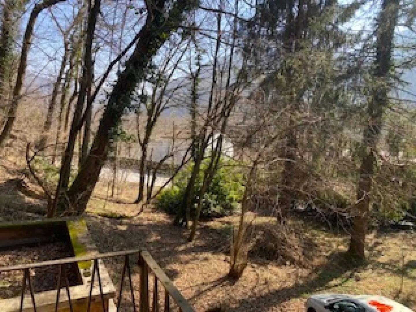 TOP 25302 SALE RUSTIC IN HIGH FOREST Copy - Photo 4 of 8