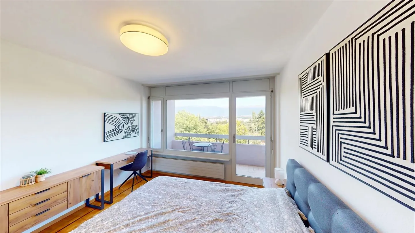 Cozy 1-Room Apartment with Balcony in Le Grand-Saconnex - Photo 4 of 19