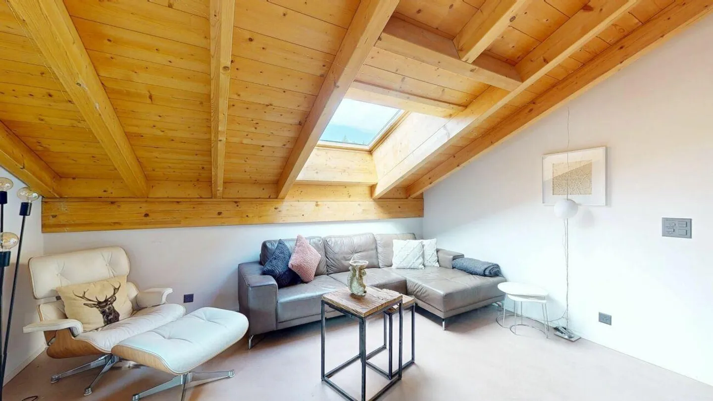 Sun-drenched 3.5 room penthouse - Photo 1 of 12