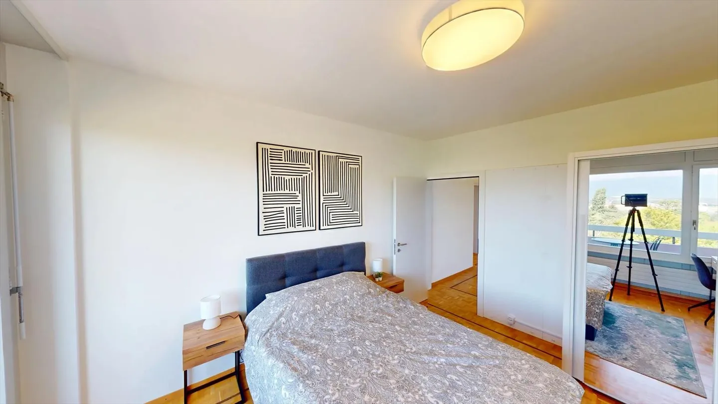 Cozy 1-Room Apartment with Balcony in Le Grand-Saconnex - Photo 5 of 19