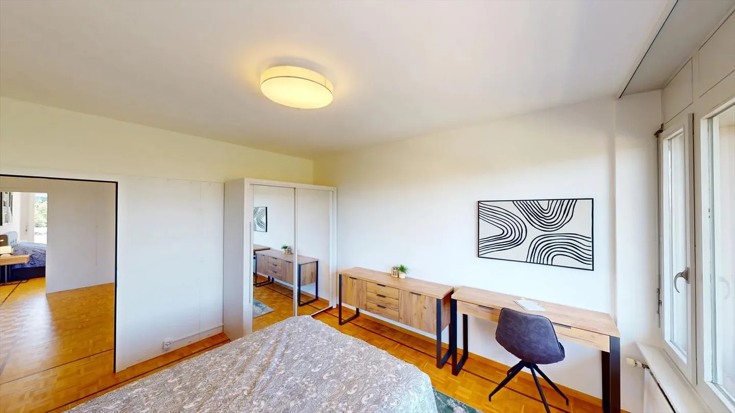 Cozy 1-Room Apartment with Balcony in Le Grand-Saconnex - Photo 6 of 19