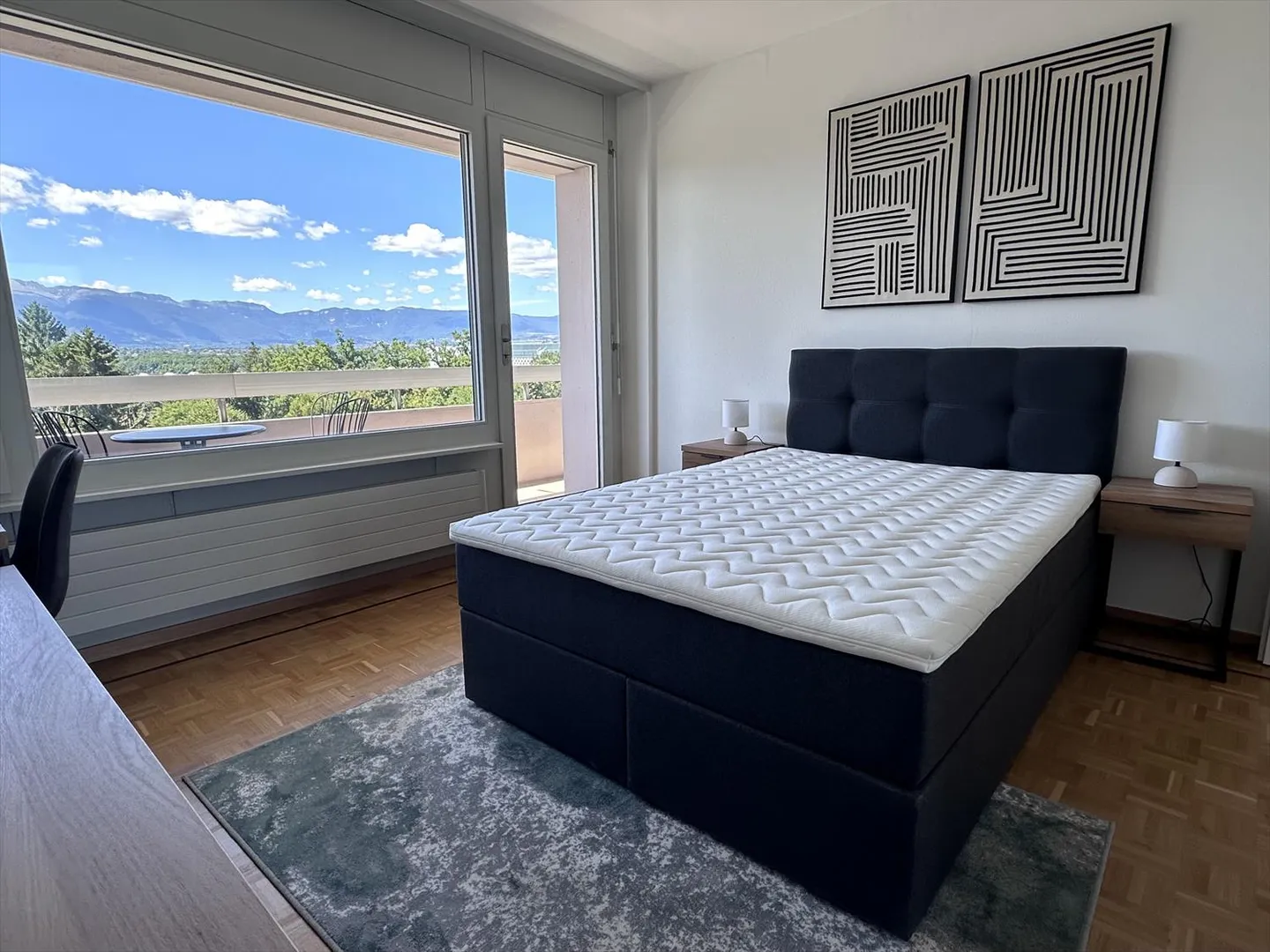 Cozy 1-Room Apartment with Balcony in Le Grand-Saconnex - Photo 10 of 19