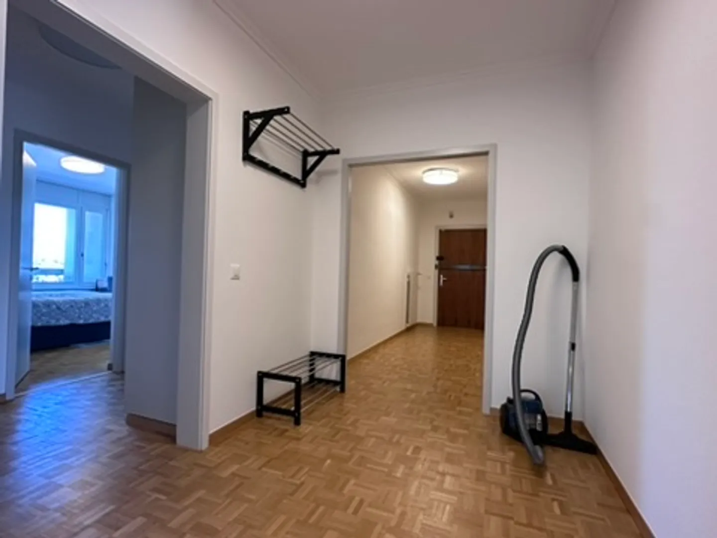 Cozy 1-Room Apartment with Balcony in Le Grand-Saconnex - Photo 13 of 19