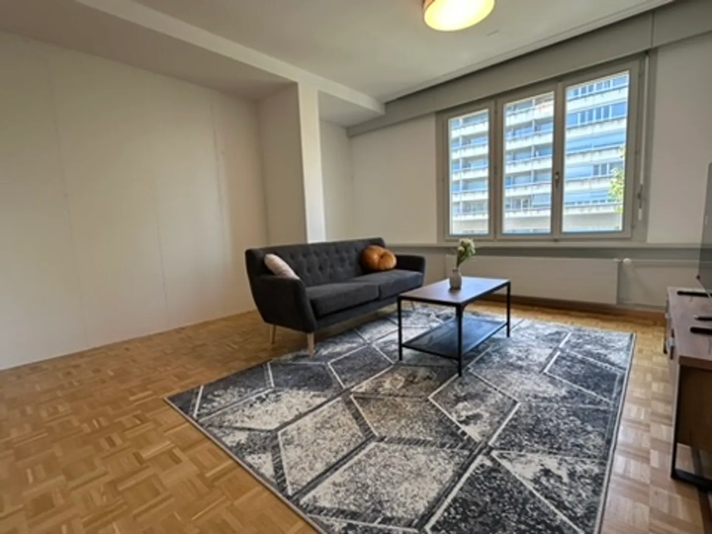 Cozy 1-Room Apartment with Balcony in Le Grand-Saconnex - Photo 15 of 19