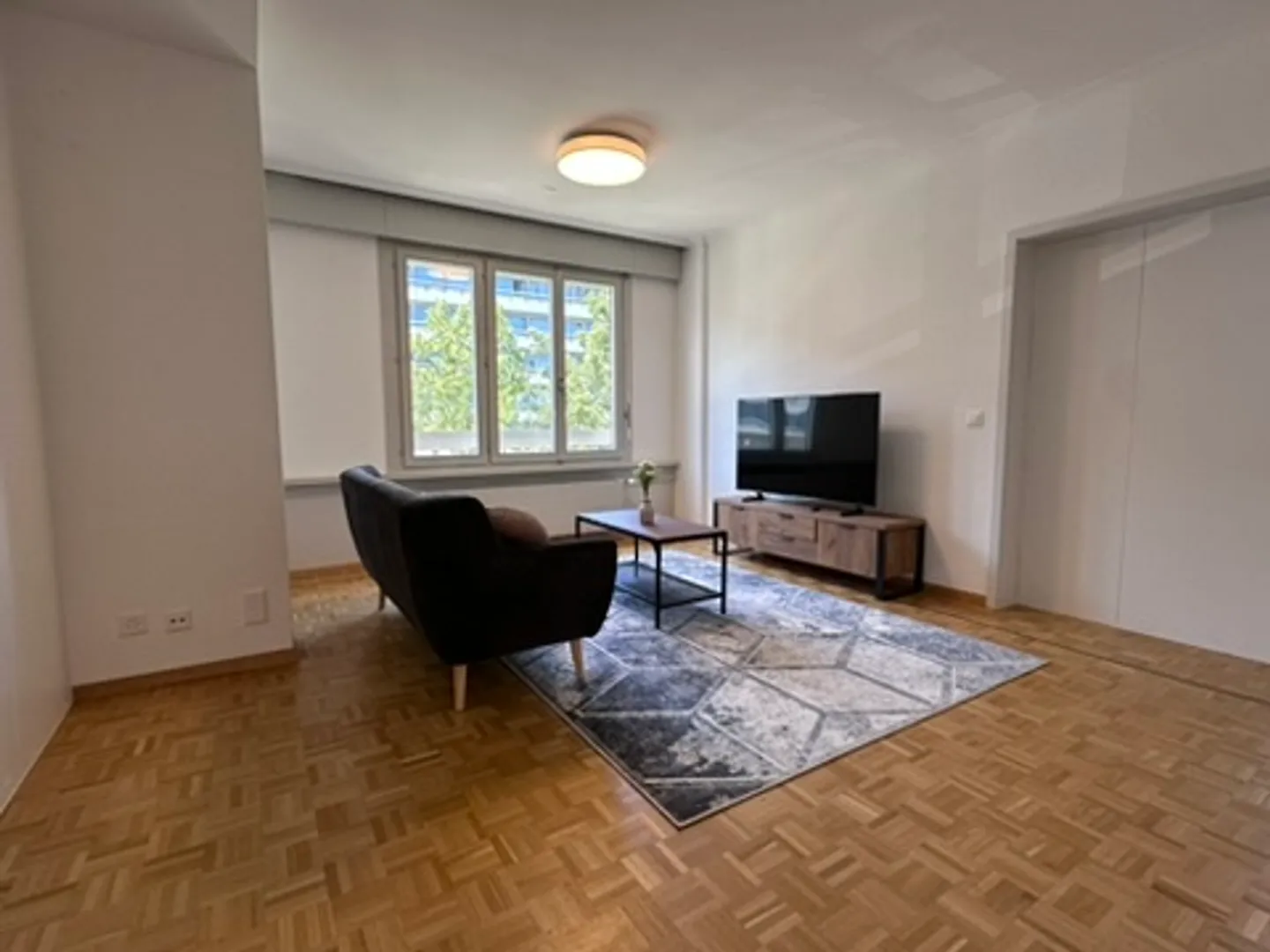 Cozy 1-Room Apartment with Balcony in Le Grand-Saconnex - Photo 16 of 19