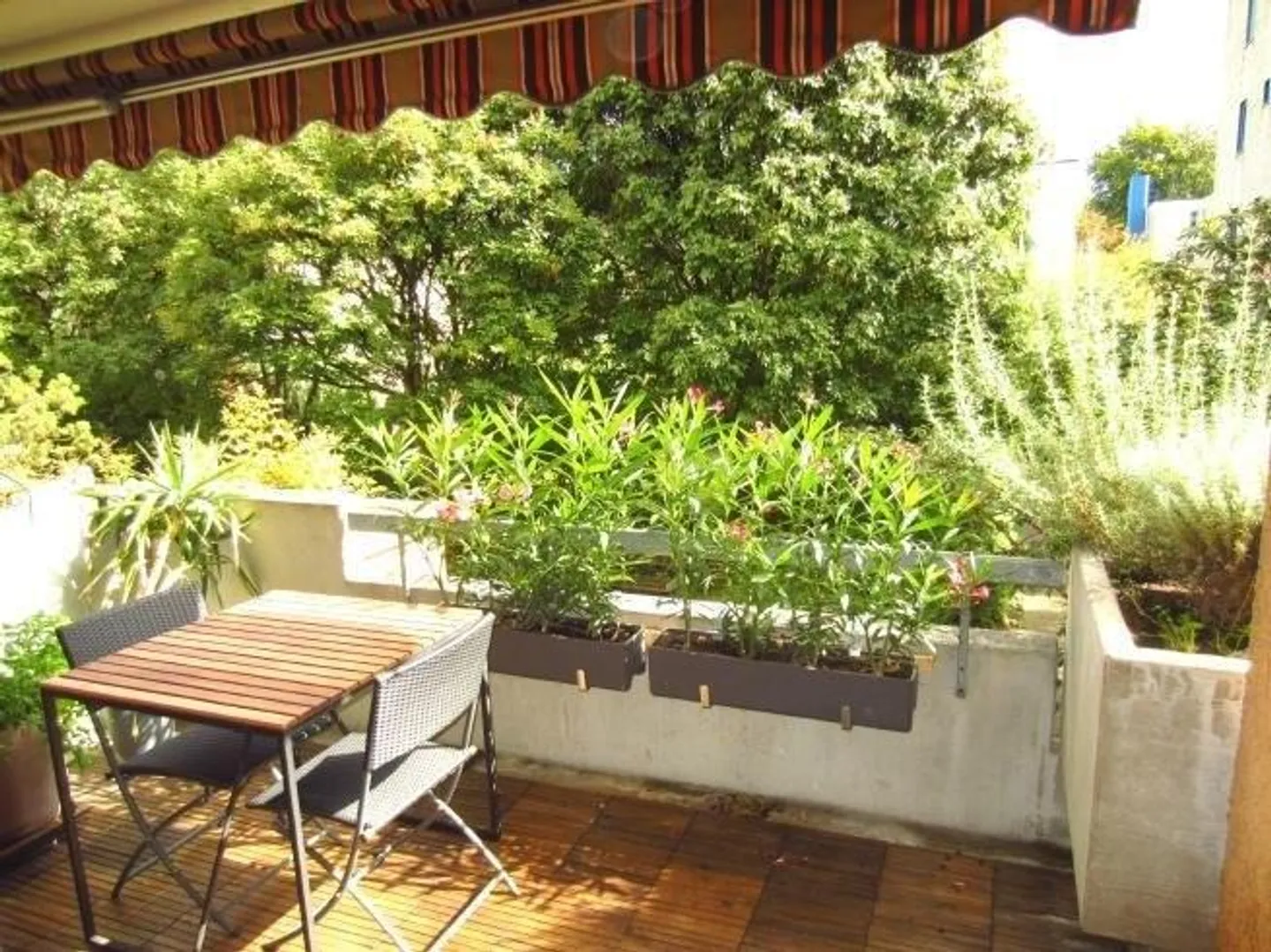 Vivere nel verde / Limitato fino al 30.09.2027 - Foto 5 di 6