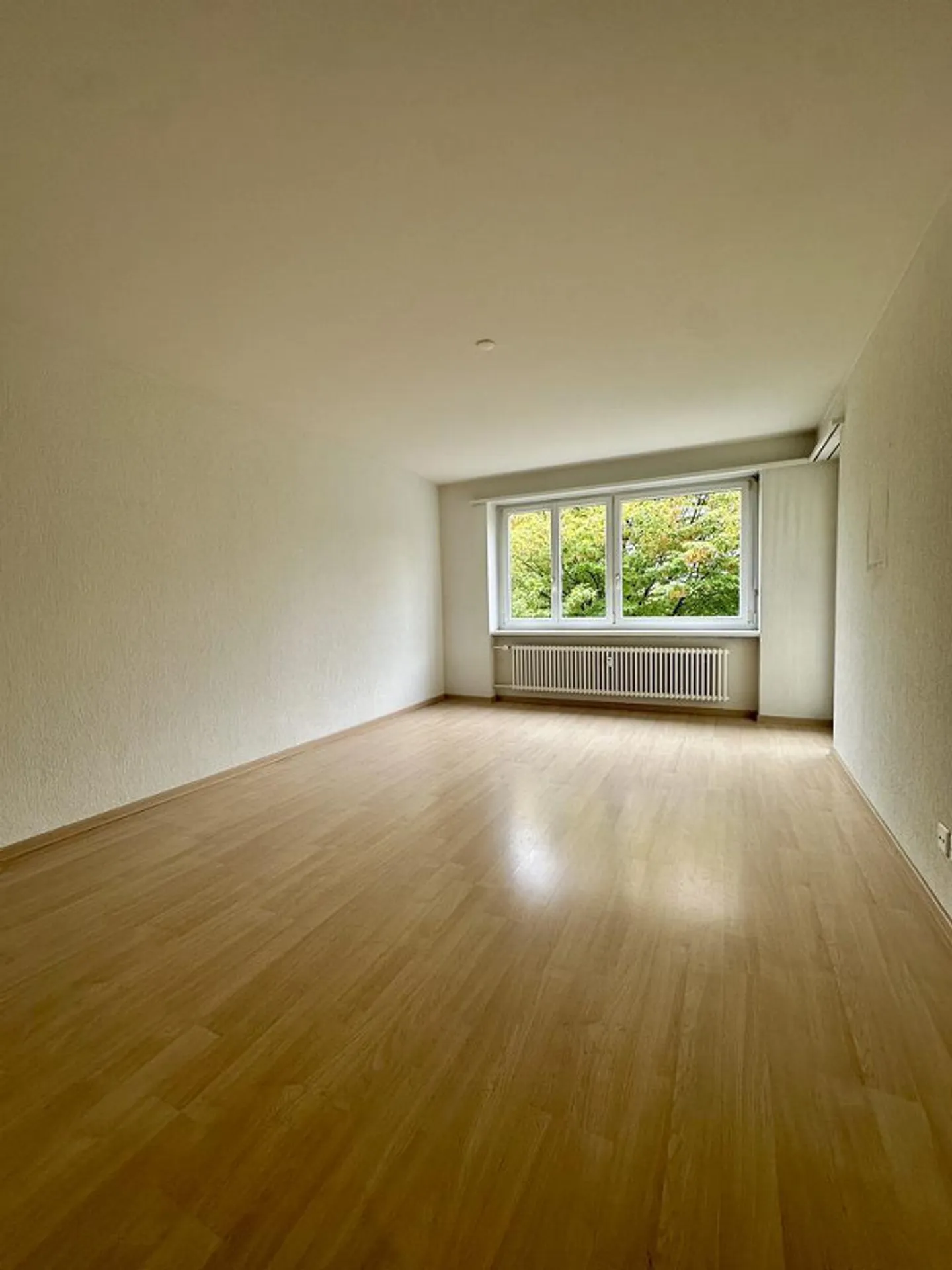 Charmante Wohnung in Wald ZH - Foto 1 von 9