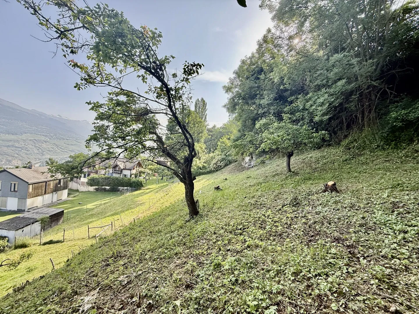 Building land for sale in Salins (Municipality of Sion) - Photo 3 of 4