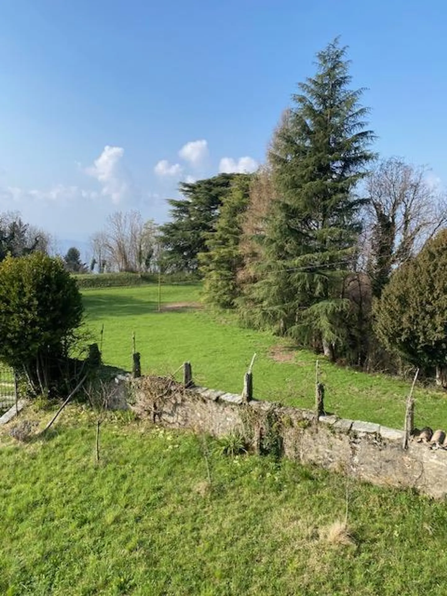 Patrizierresidenz mit 1.000 m² Garten - Foto 4 von 14
