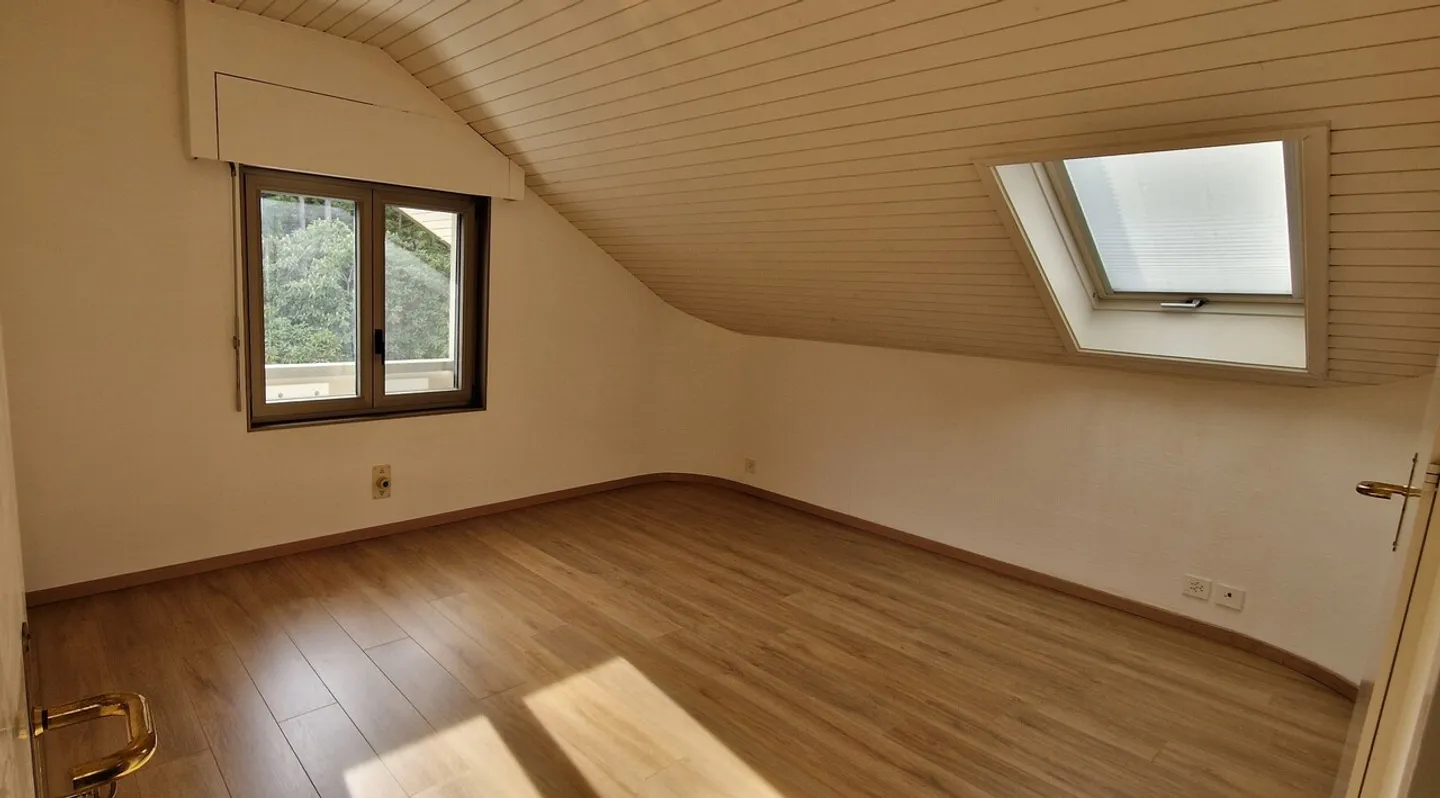 Pully center, lake view, indoor pool - Photo 14 of 18