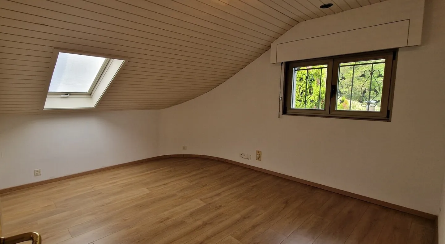 Pully center, lake view, indoor pool - Photo 16 of 18