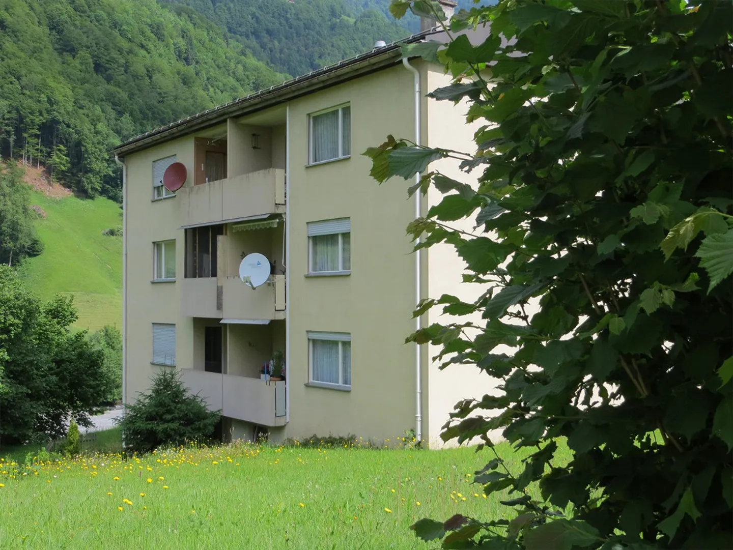 Affordable bright renovated apartment in the green - Photo 1 of 12