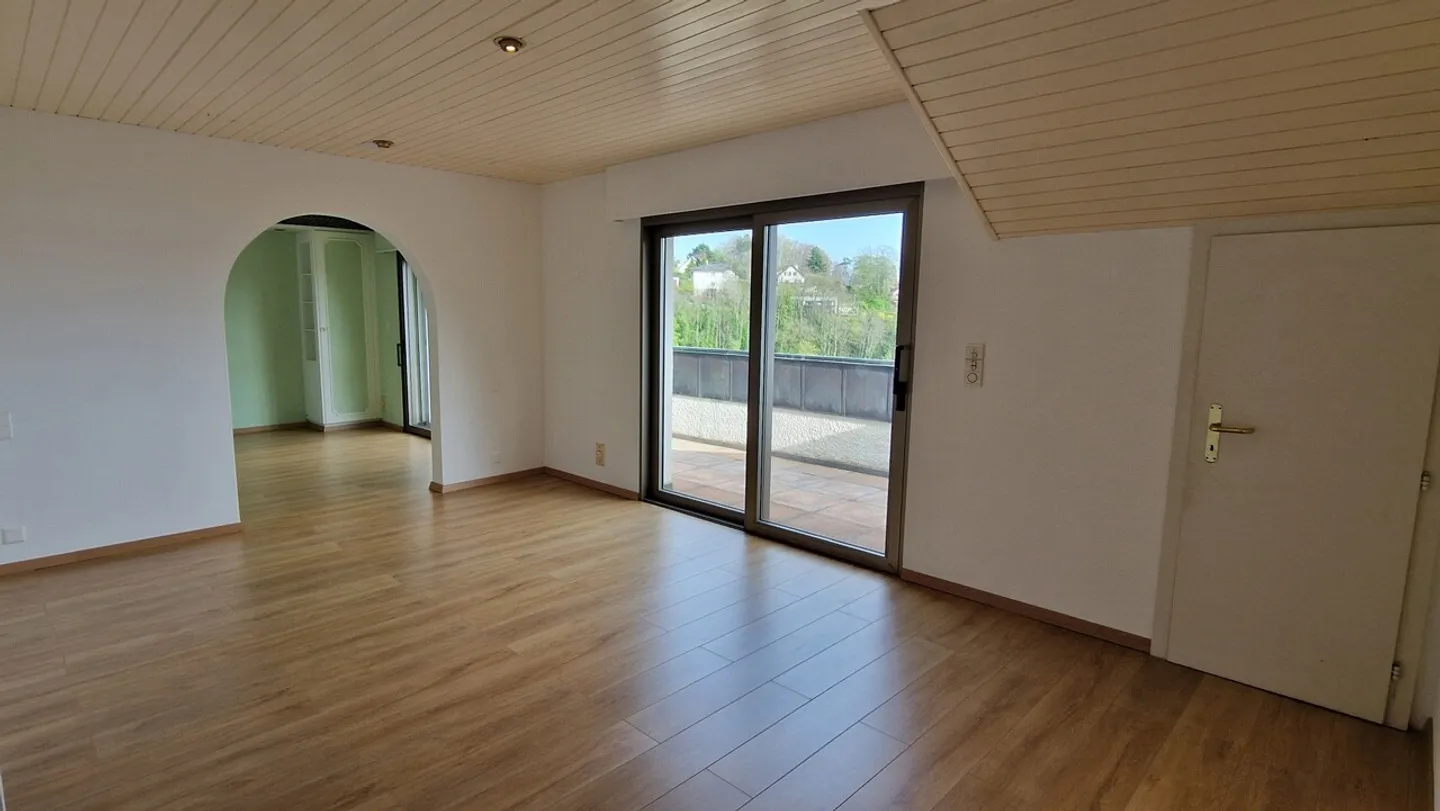 Pully center, lake view, indoor pool - Photo 17 of 18