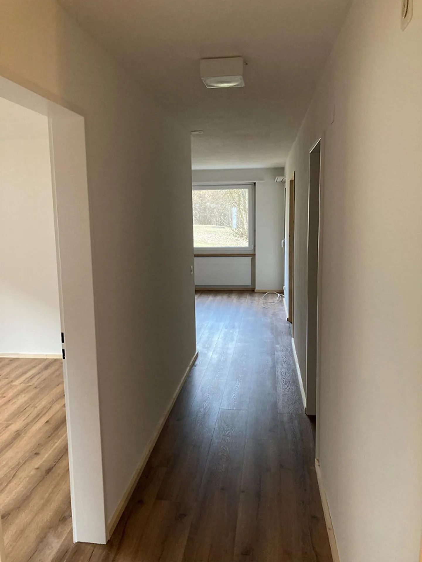 Affordable bright renovated apartment in the green - Photo 10 of 12