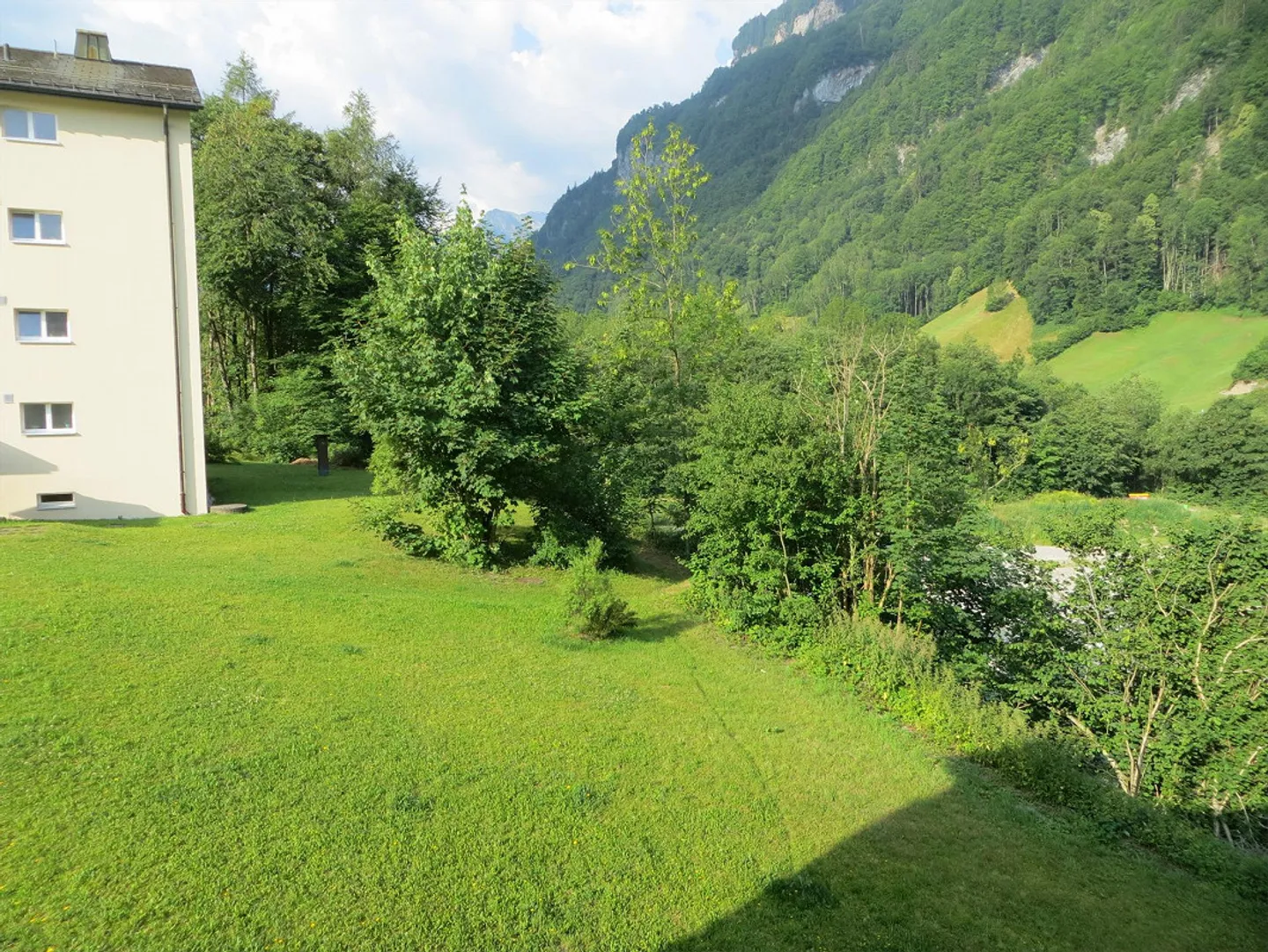 Affordable bright renovated apartment in the green - Photo 11 of 12