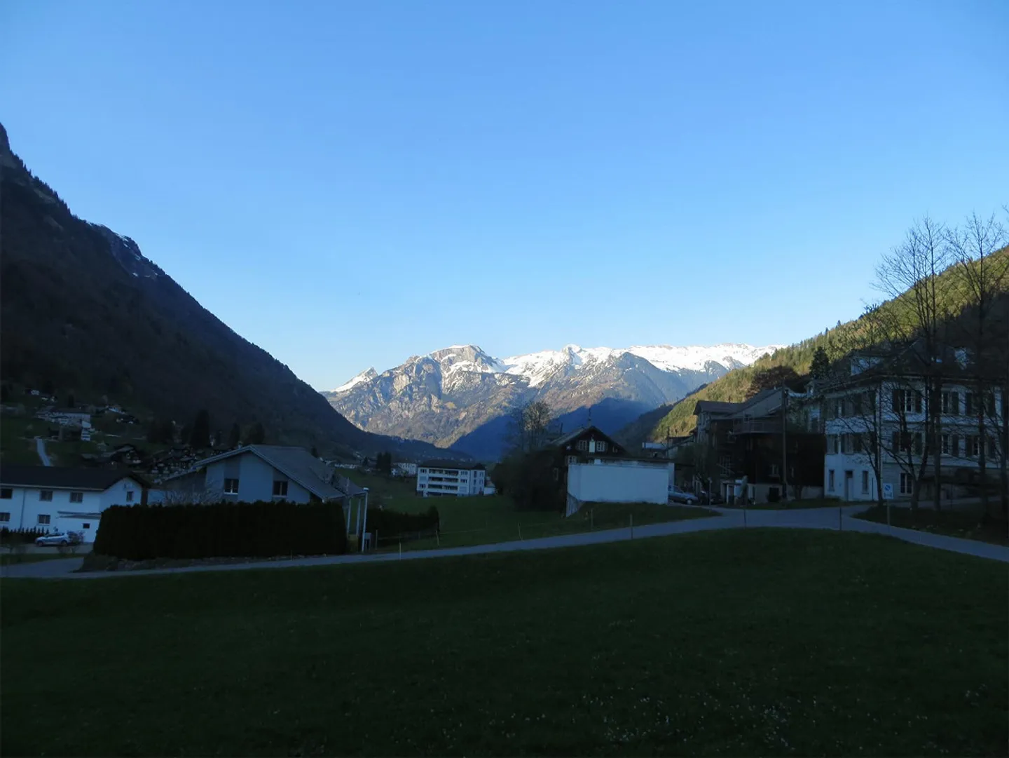 Affordable bright renovated apartment in the green - Photo 12 of 12