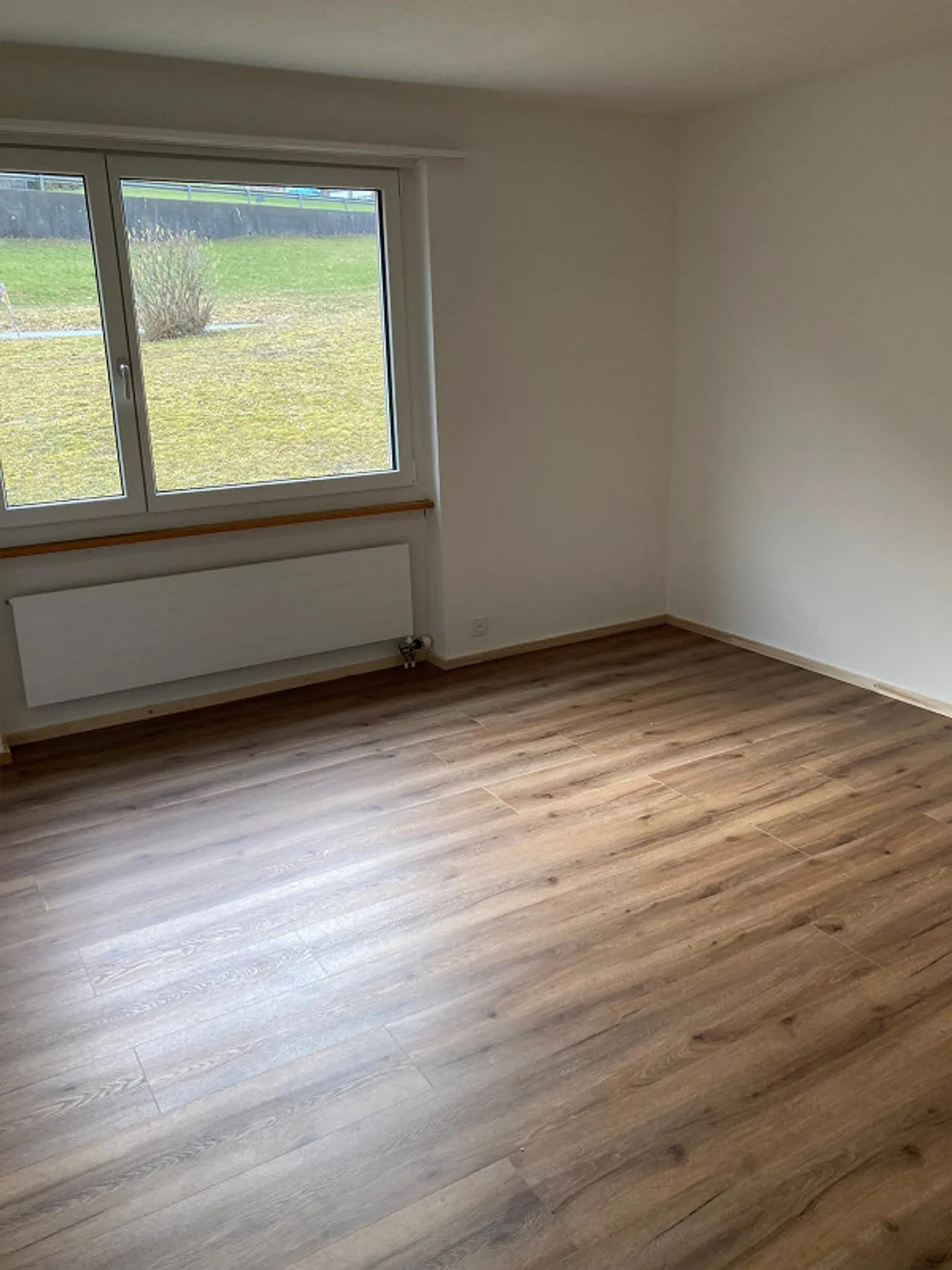 Affordable bright renovated apartment in the green - Photo 5 of 12