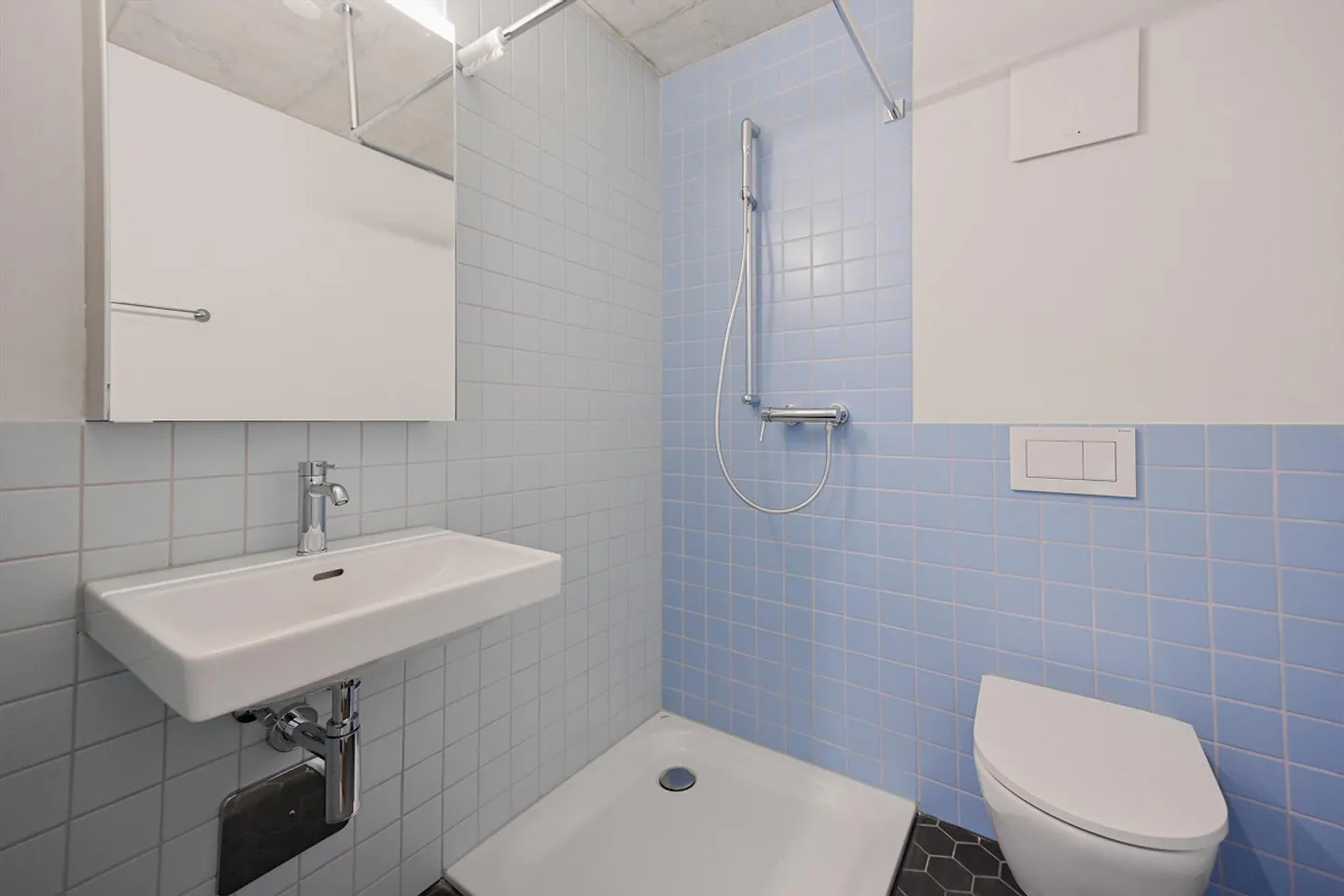 Family Living Dream in Liebefeld - Photo 12 of 13