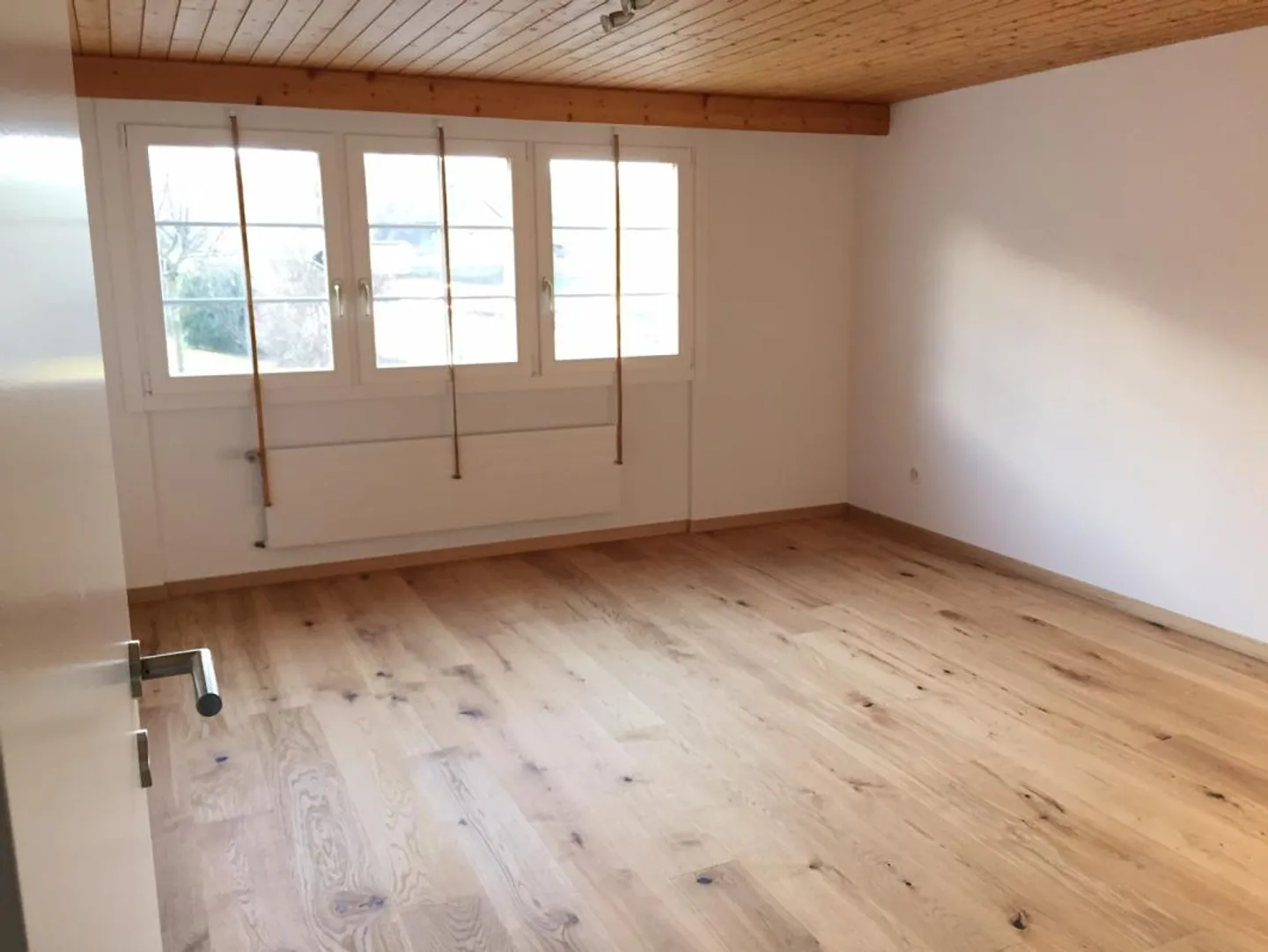 3 1/2 Room Apartment (1st Floor) - Photo 2 of 4