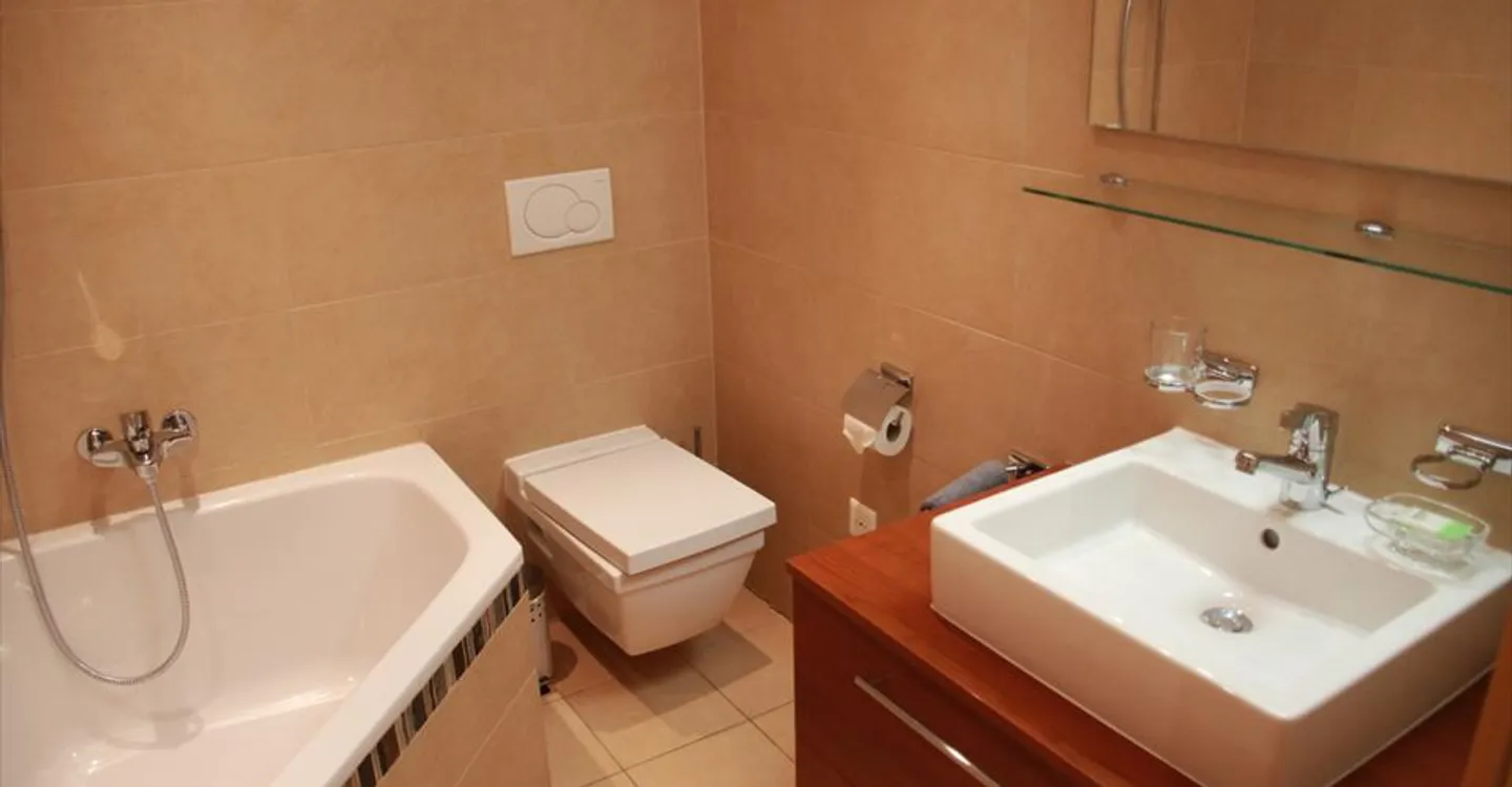 Luxury Apartment in Champex - Photo 9 of 10