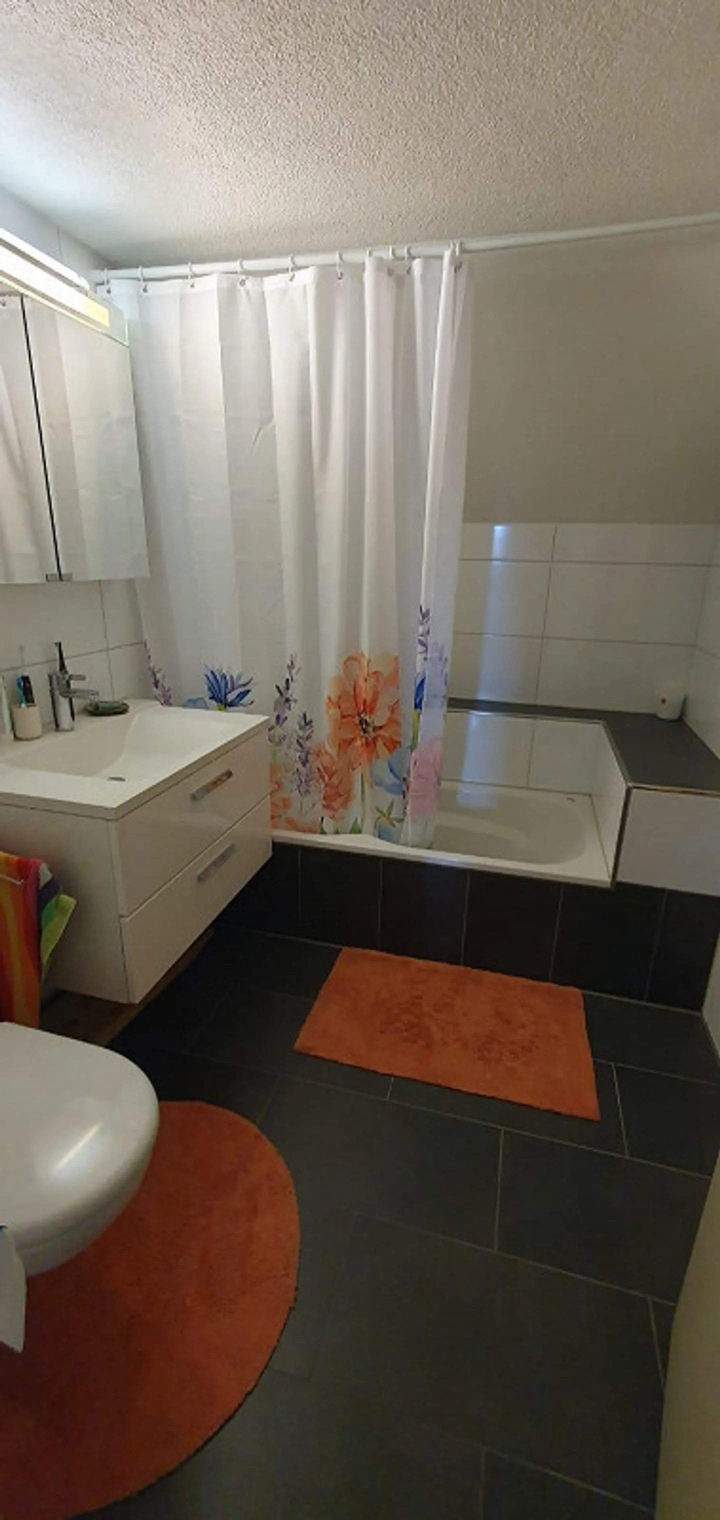 Charming 3.5-room duplex apartment in the attic – Uitikon Waldegg (village center) - Photo 5 of 11