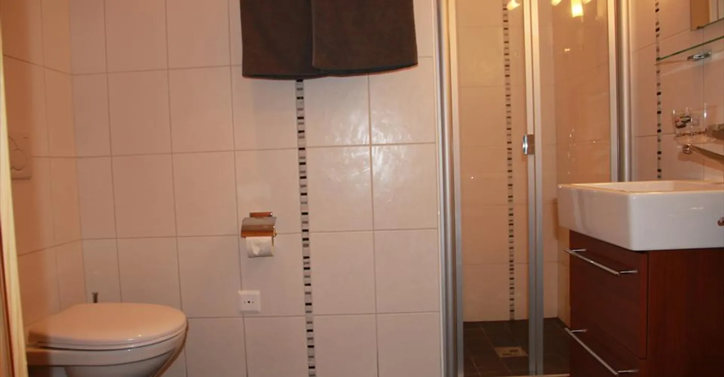 Luxury Apartment in Champex - Photo 6 of 10