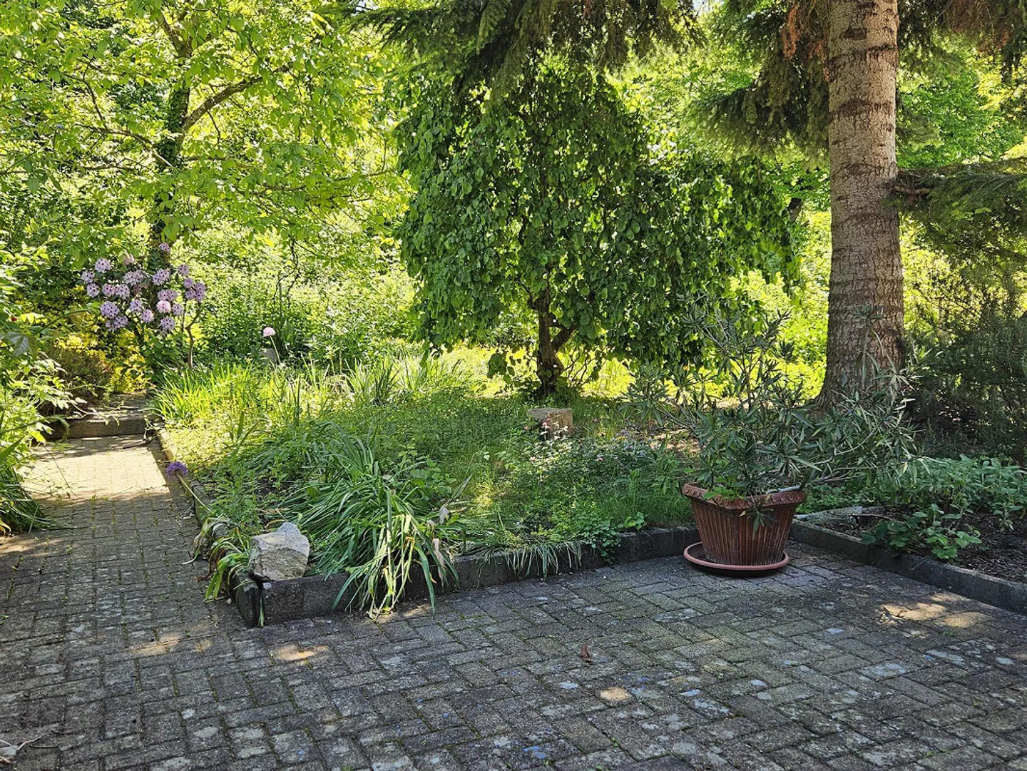 Wunderschöne Attika mit Garten - Foto 7 von 16