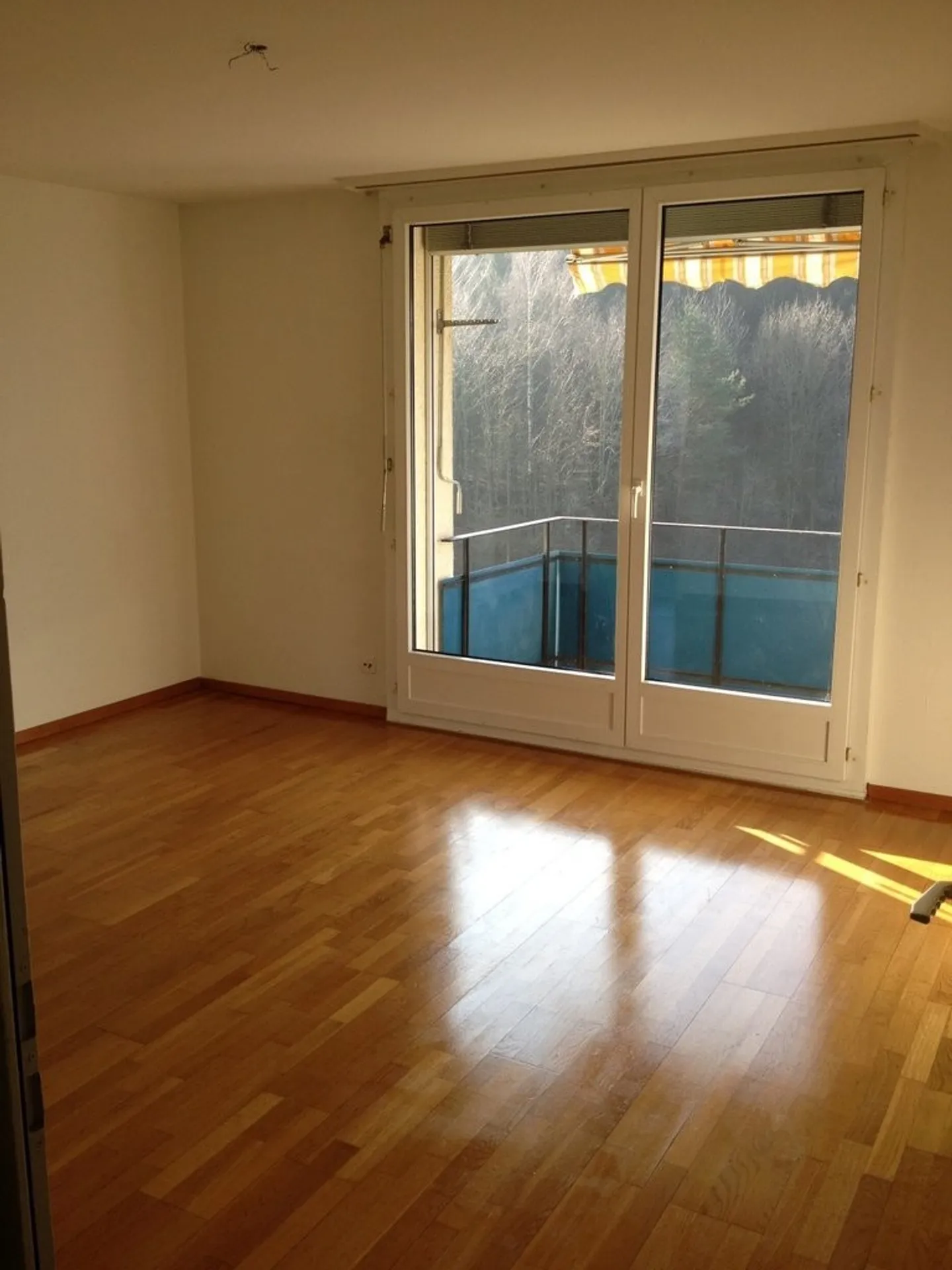 Charming 4-Room Apartment in Zurich - Photo 2 of 5