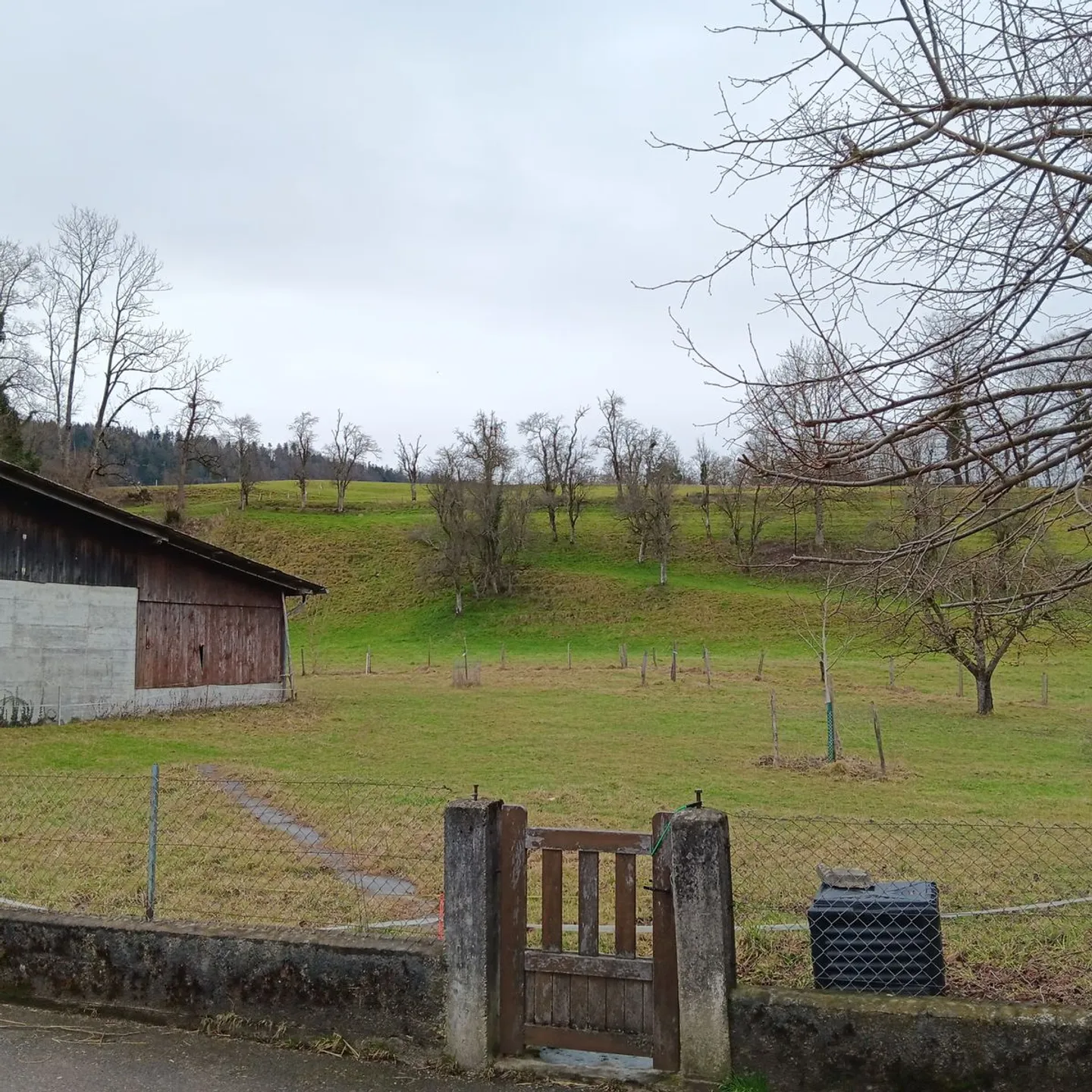 Fattoria in vendita - Foto 12 di 13