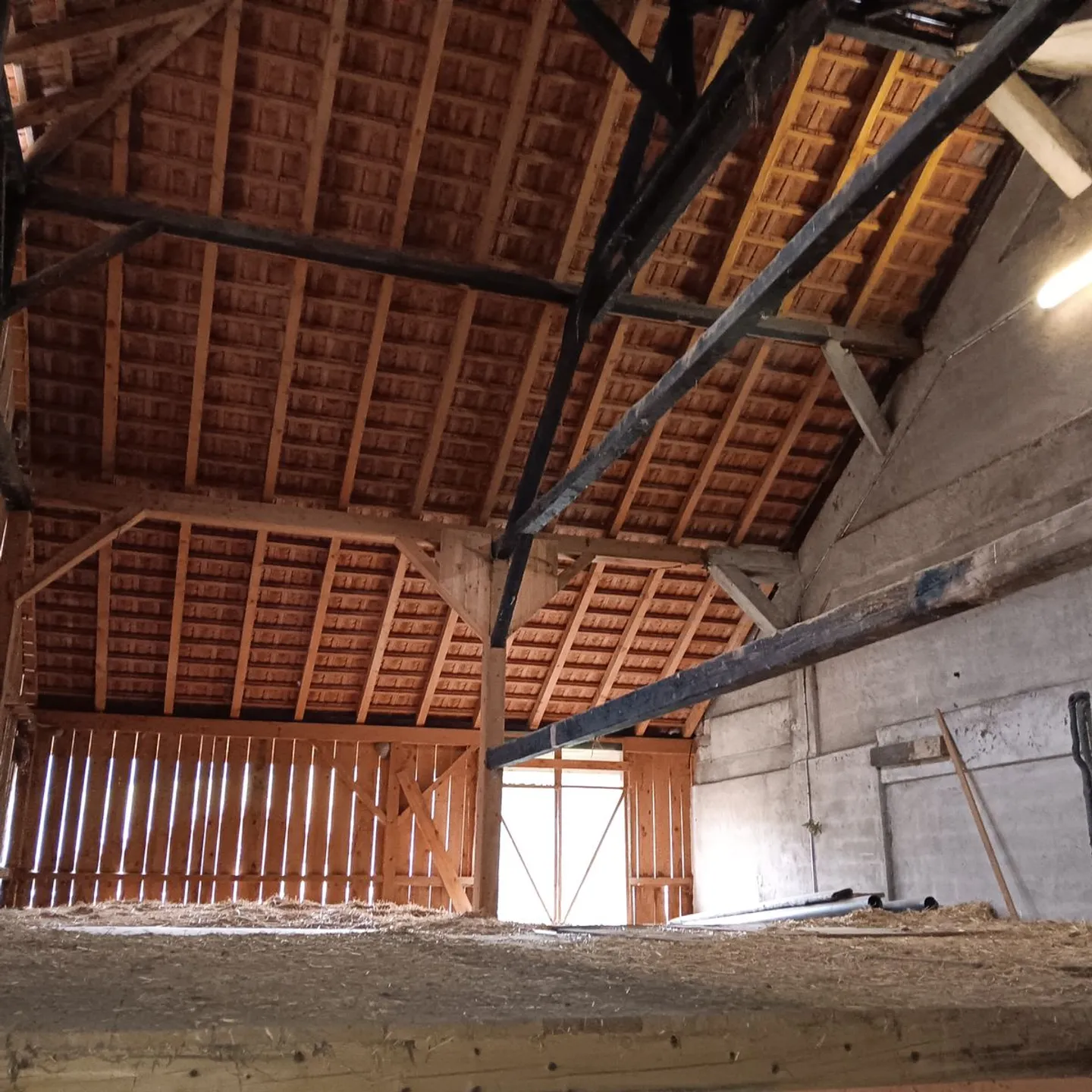 Fattoria in vendita - Foto 13 di 13