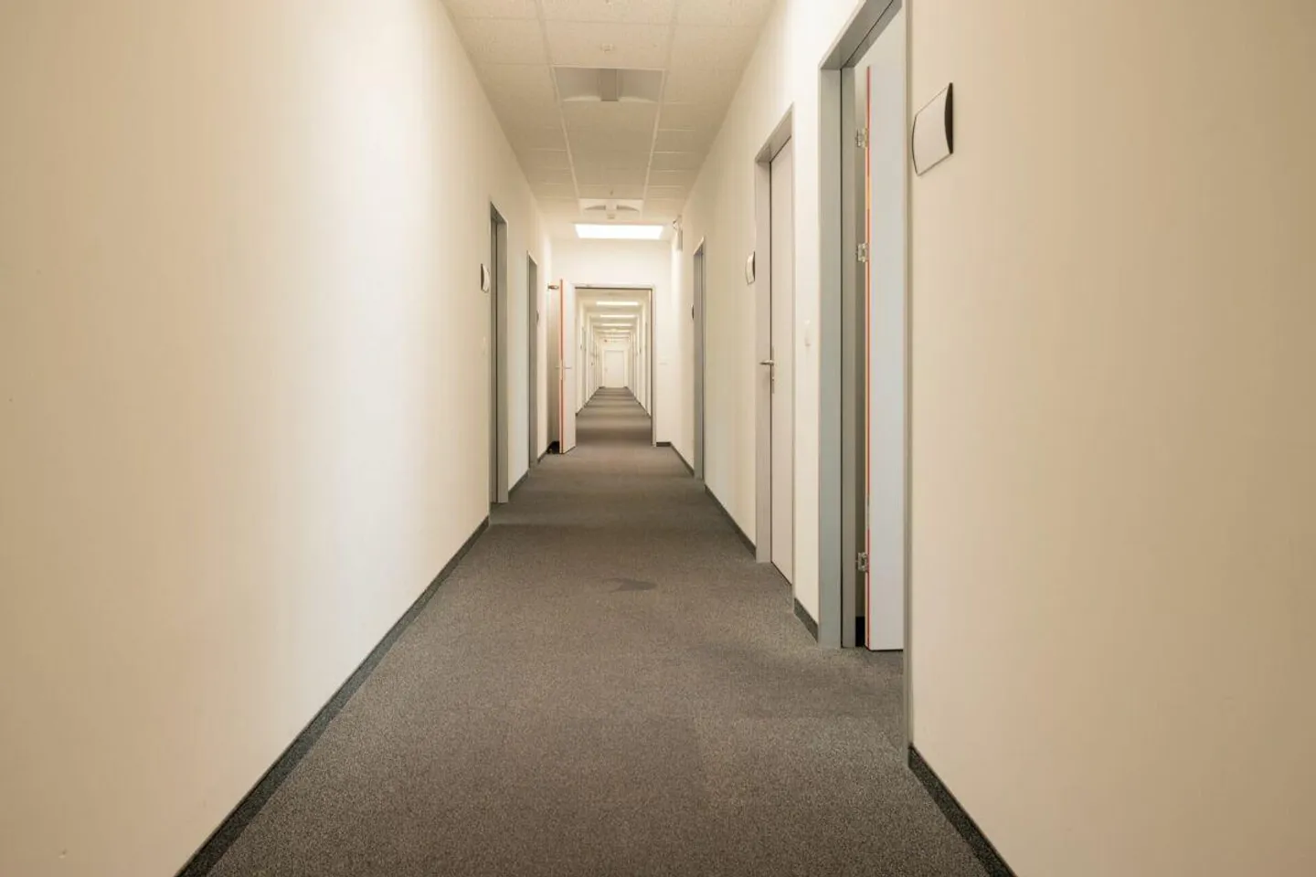 Attractive commercial spaces for offices, practices, and other services... - Photo 4 of 10