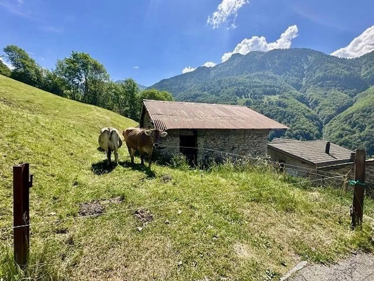 Rustique de 4 pièces à rénover avec vue panoramique et environnement - Photo 1 sur 18