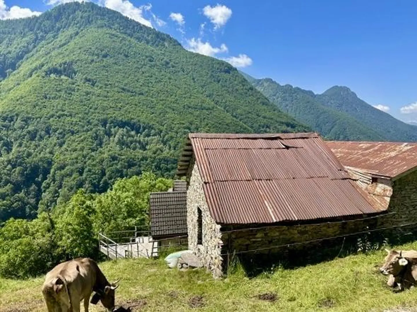 Rustique de 4 pièces à rénover avec vue panoramique et environnement - Photo 3 sur 18