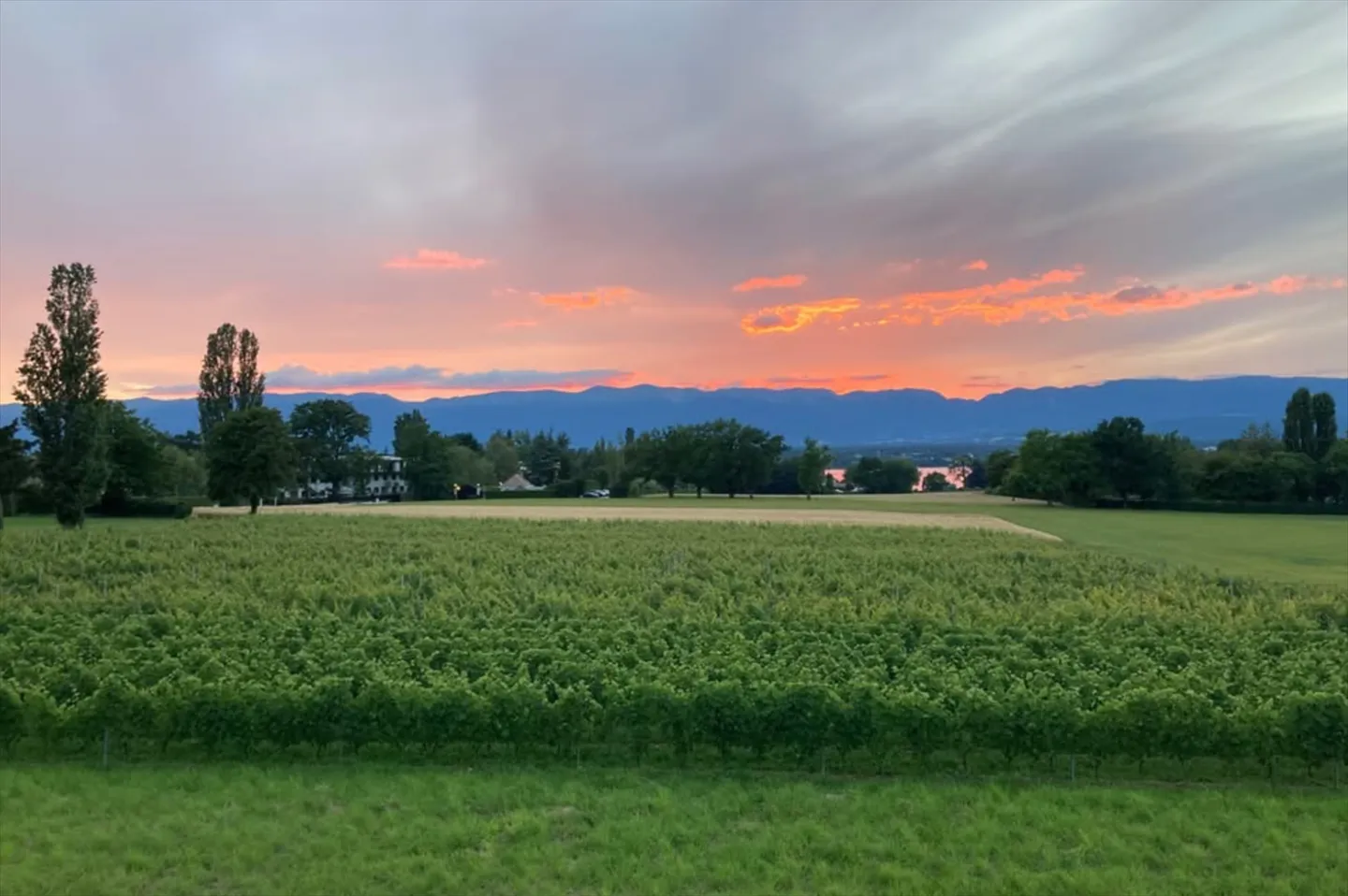 Appartamento moderno di 5 stanze - Foto 8 di 11