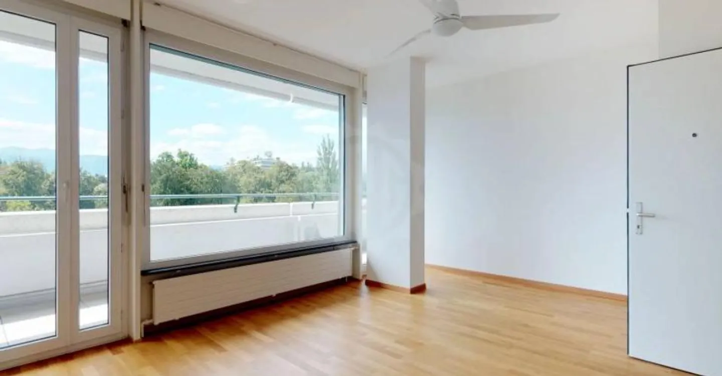 Beautiful apartment - Geneva - Photo 5 of 6