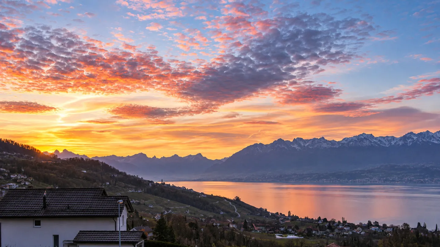 Der Genfersee als Horizont - Foto 13 von 14