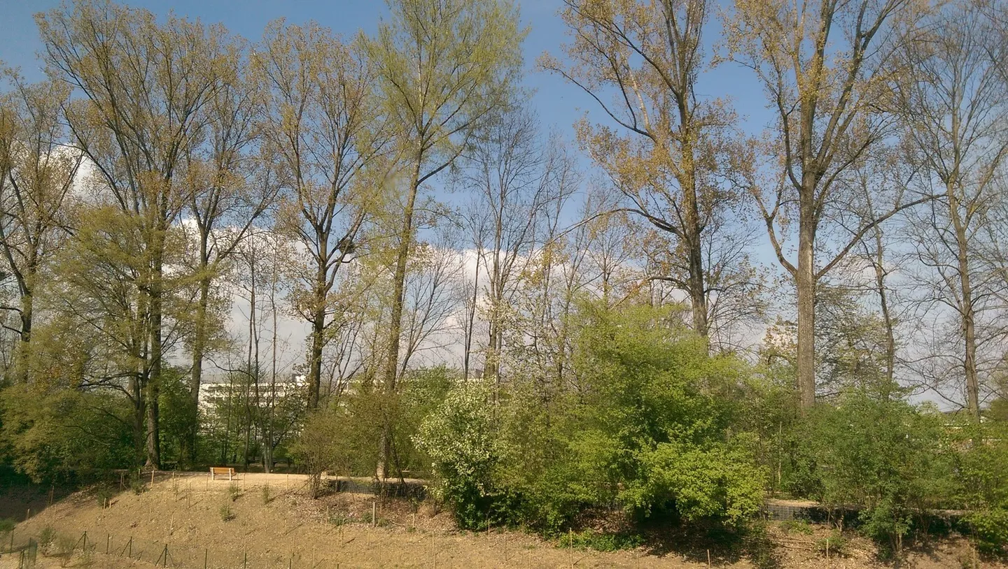 In the Green - Luxurious + Modern 3.5-Room Apartment, Large Balcony, 2 Bathrooms, Neu-Allschwil, 15min to the City - Photo 3 of 25