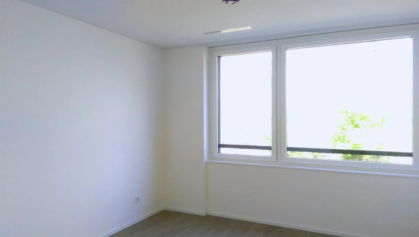 In the Green - Luxurious + Modern 3.5-Room Apartment, Large Balcony, 2 Bathrooms, Neu-Allschwil, 15min to the City - Photo 17 of 25