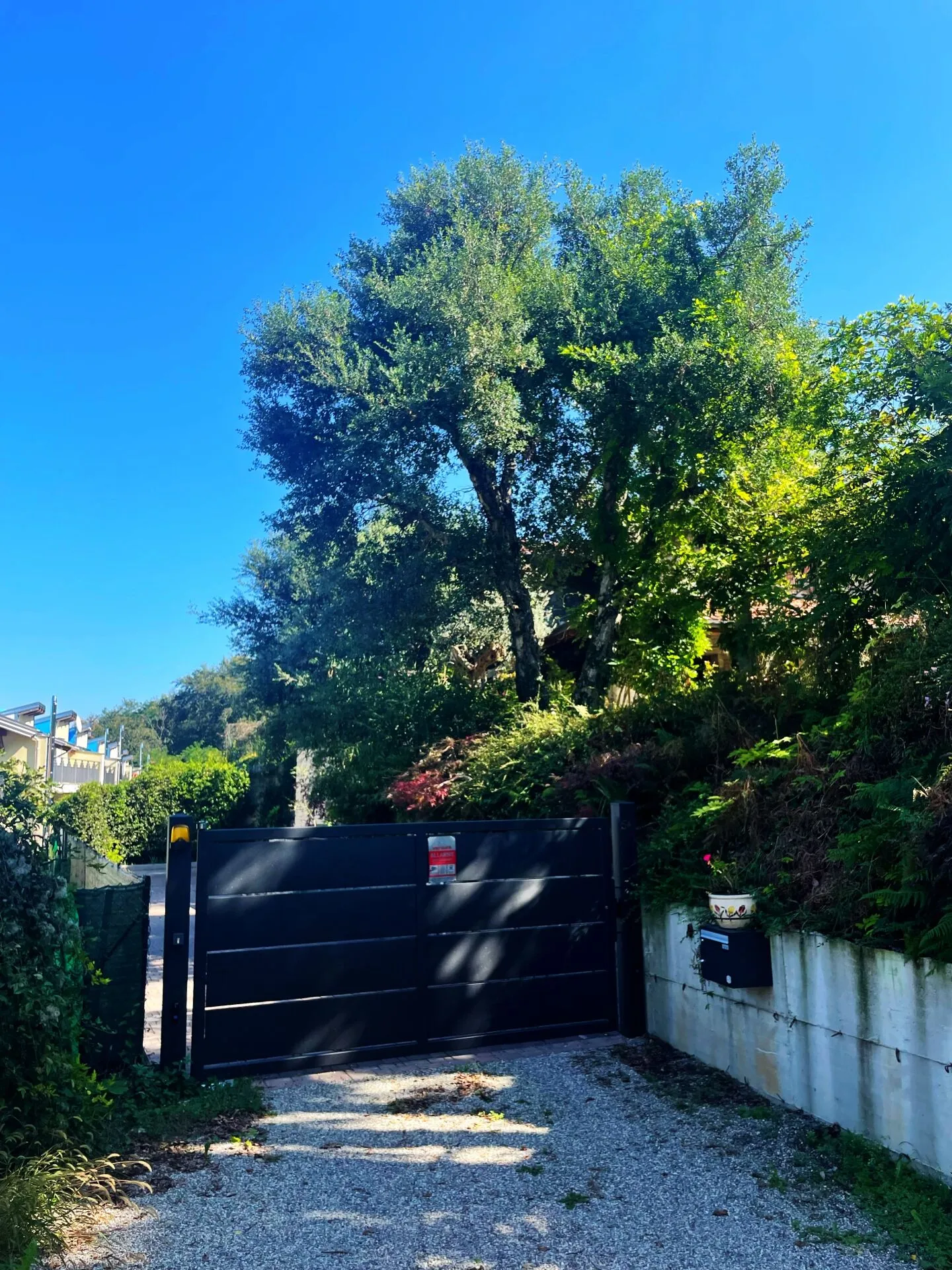 Charming villa with large garden - Photo 8 of 19
