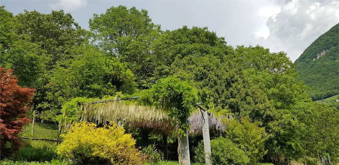 Exklusives Panoramavillen im Grünen - Foto 8 von 13