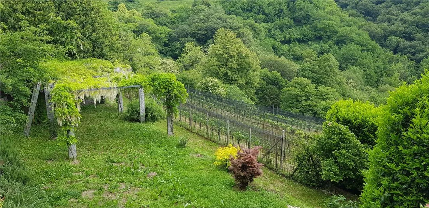 Exklusives Panoramavillen im Grünen - Foto 10 von 13