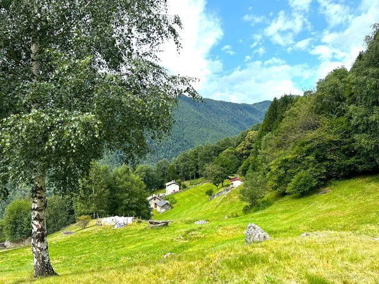 2 Rustici con Grande Terreno in una Posizione Molto Tranquilla e Soleggiata con Bella Vista - Foto 11 di 32