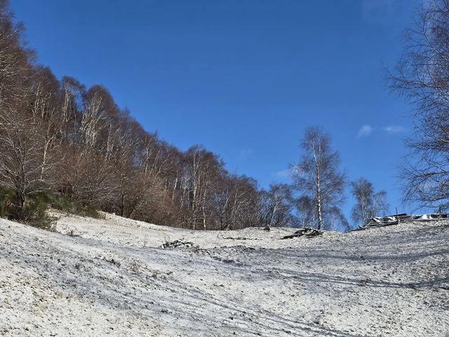 2 Rustici con Grande Terreno in una Posizione Molto Tranquilla e Soleggiata con Bella Vista - Foto 14 di 32