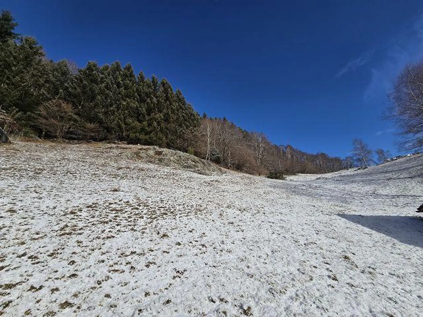 2 Rustici con Grande Terreno in una Posizione Molto Tranquilla e Soleggiata con Bella Vista - Foto 15 di 32