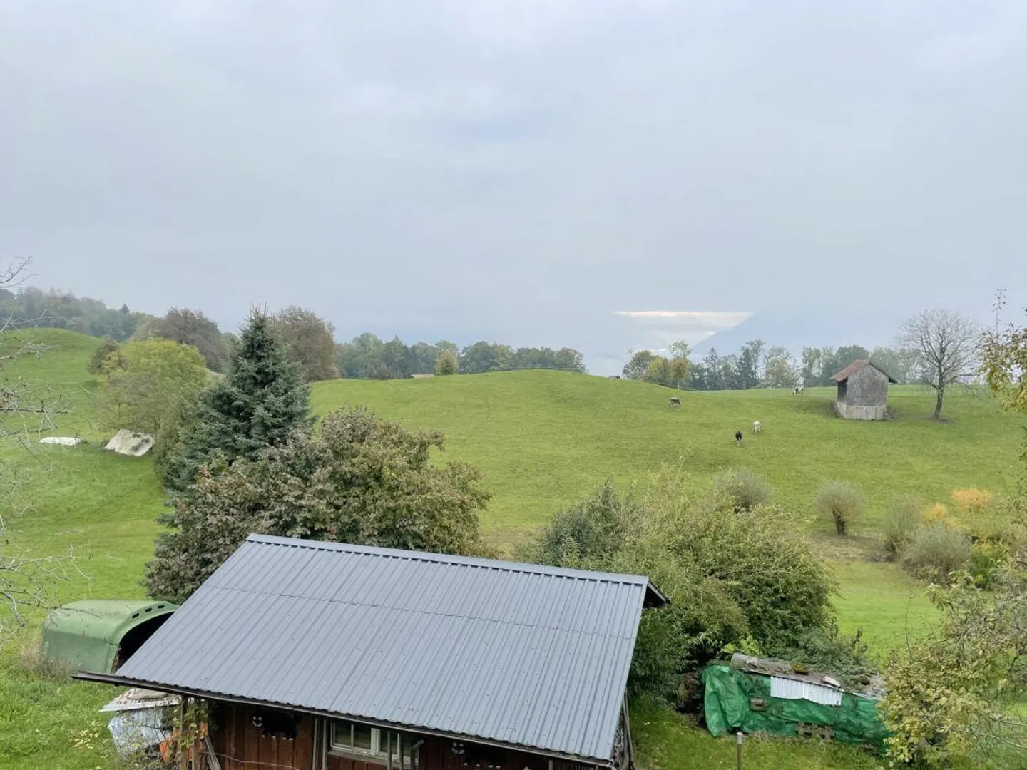 Casa 3-Famiglie idilliaca nella zona agricola - Vivere nel mezzo della natura - Foto 4 di 18