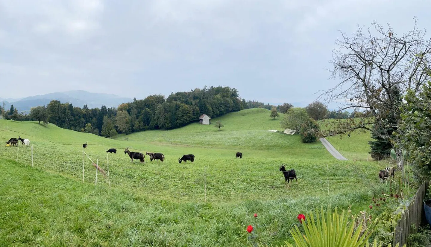 Casa 3-Famiglie idilliaca nella zona agricola - Vivere nel mezzo della natura - Foto 6 di 18
